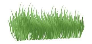 images_027